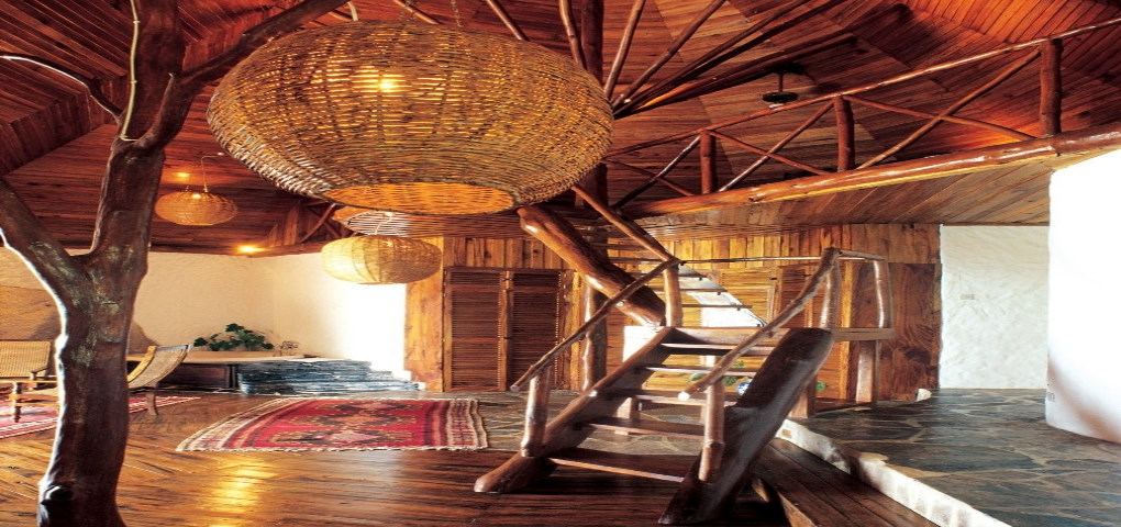 chauve-souris-relais-seychelles I Grandi Viaggi Interni