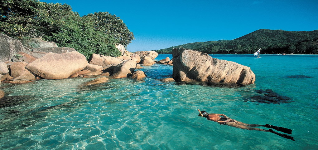 chauve-souris-relais-seychelles I Grandi Viaggi Mare