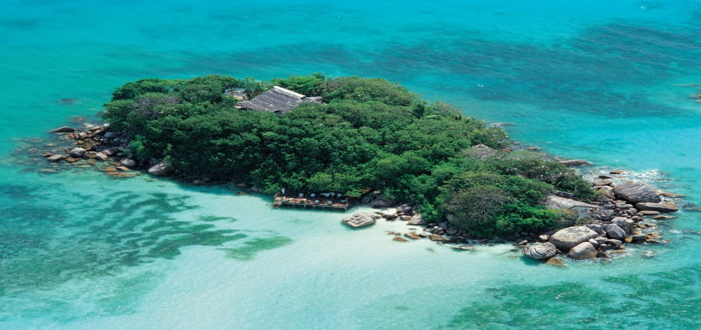 chauve-souris-relais-seychelles I Grandi Viaggi