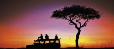 Offerte Safari Tanzania I Grandi Viaggi