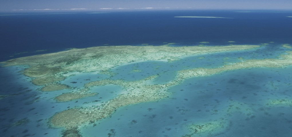 Luna di Miele Viaggi di Nozze Grande Barriera Corallina Australia